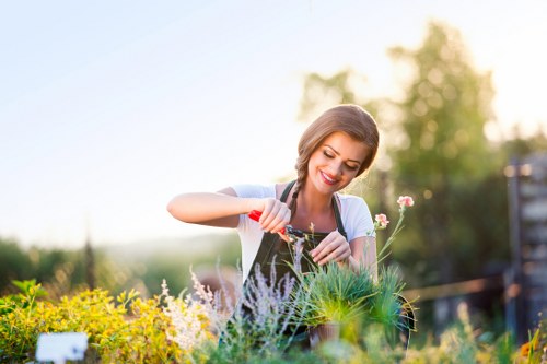 Tree pruning service for a Purley residential garden