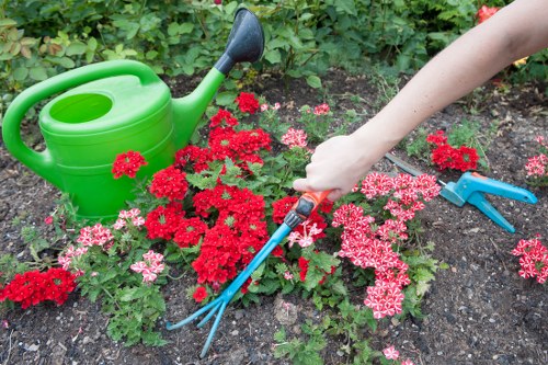 Hedge maintenance and shaping for a suburban home in Purley
