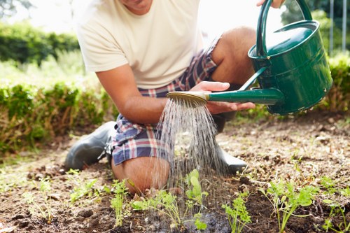 Tree surgeons accessibility statement introduction for Purley website