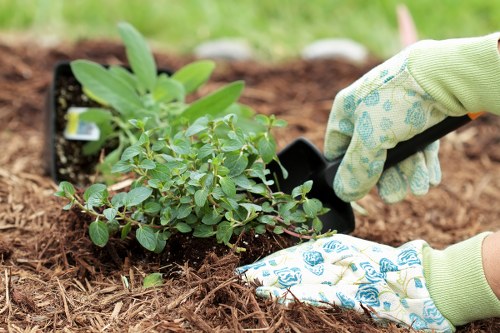 Branches and green waste measured for a load-based quote