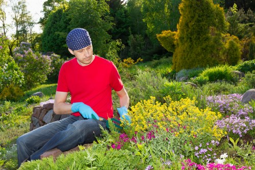 Customer service review of tree surgery complaint outcomes