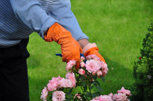 Local hedge trimming service working on a garden boundary in Purley